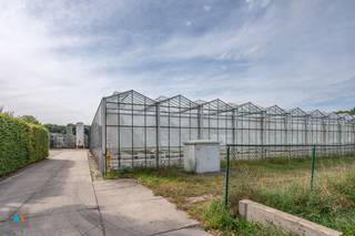 Commercial for rent in Hoogstraten