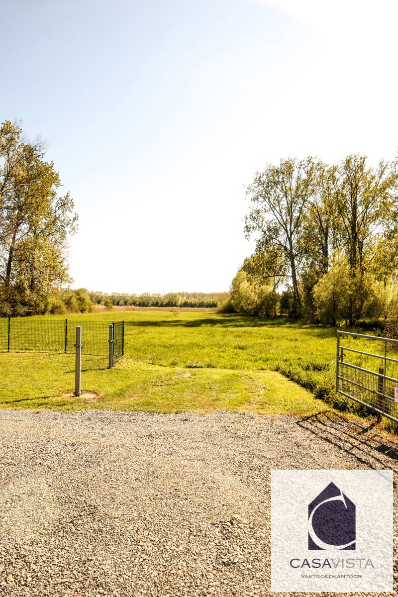 VERNIEUWDE WOONST + 2 WEIDEN + BOS - foto 3