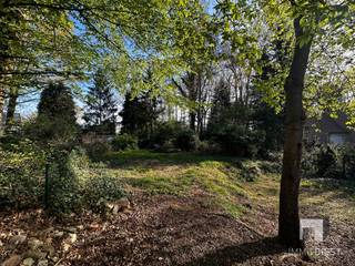 Op Schellekensberg in Schaffen (Diest) verkoopt Immo Diest deze woning met 4 slaapkamers en garage. Schellekensberg staat bekend als een residentiële...