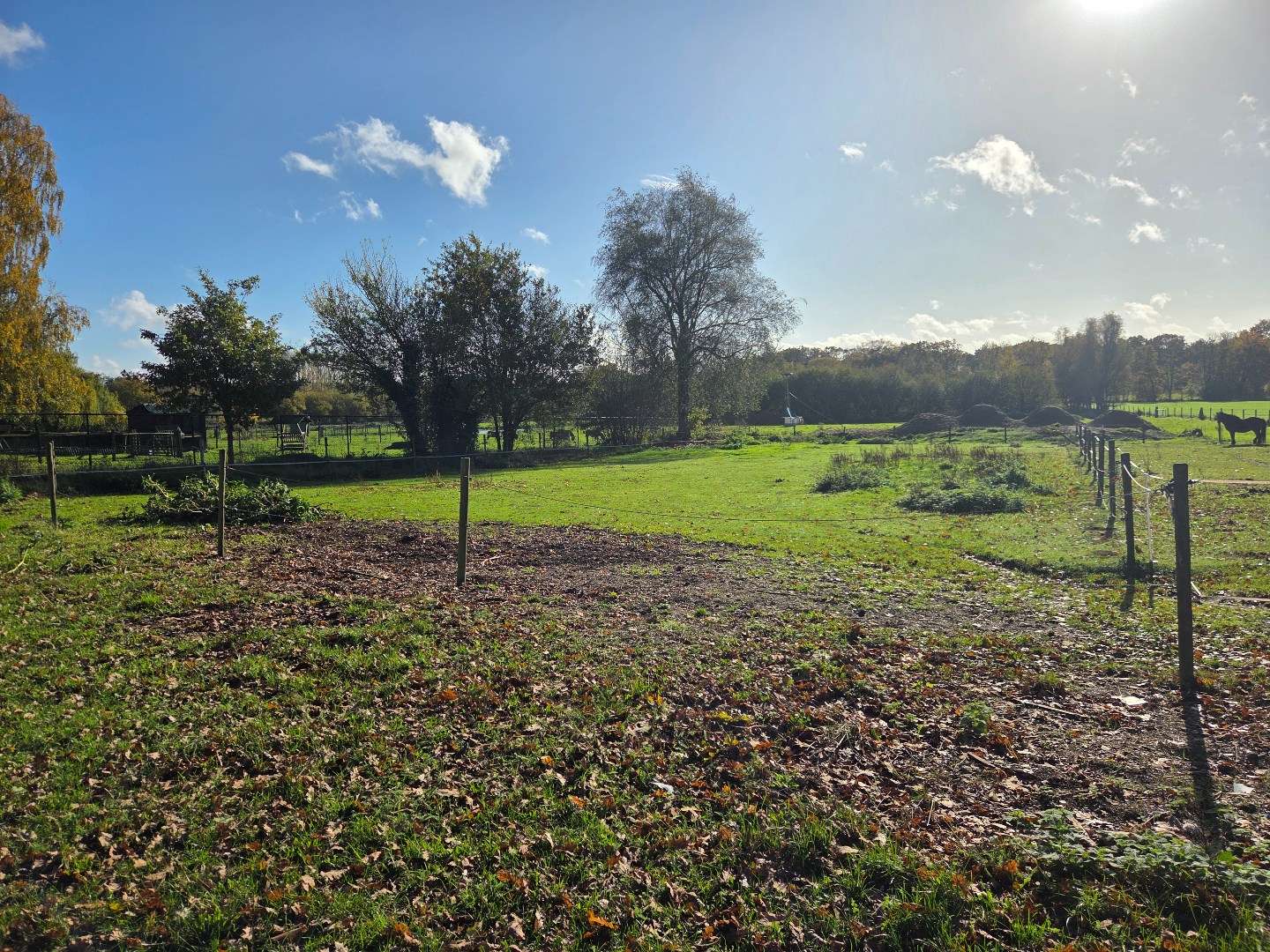 Woning met 3 slpks, schuur met 3 stallen en weiland op 2.288 m² nabij Geel-centrum ! - foto 5