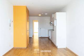 VALIMMAS verhuurt dit comfortabel ingericht appartement (± 50m² + zolder/technische ruimte) met kelder en autostandplaats, in een statige en gerenoveerde herenwoning in het centrum van Asse.   

Dit instapklare appartement bestaat uit een living met open ingerichte keuken, een dressing en wasplaats, een badkamer met douche, een ruime slaapkamer, en een zolder/technische ruimte die als extra berging dienstig kan zijn. Inclusief een kelder (± 4m²) en een autostandplaats achter het gebouw.     

Individuele tellers en CV op aardgas, ventilatiesysteem, parlofoon,... . Energiezuinig, EPC slechts 169 kWh/m² = label B.    

Gelegen in volle centrum, tussen het Gemeenteplein en het station, in de directe  nabijheid van openbaar vervoer, scholen, winkels, park, sportcomplex,...     

+++
Bezoekmoment inplannen? Dat kan eenvoudig via onze website www.valimmas.be. Klik vervolgens op de blauwe knop "BEZOEK DIT PAND" bij het pand van je keuze. Let op: afspraken maken kan enkel nog online.
+++