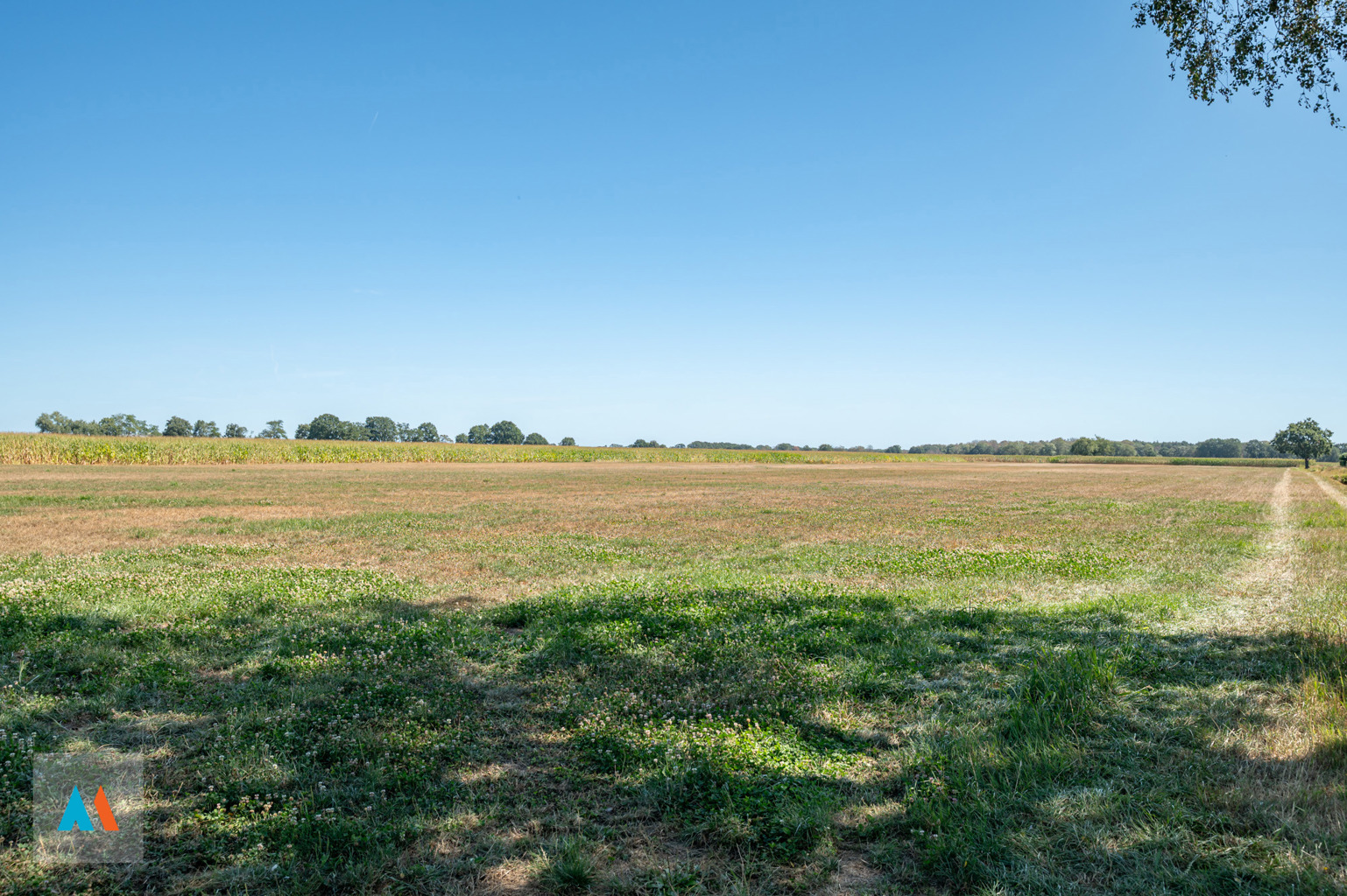 Perceel landbouwgrond - foto 4