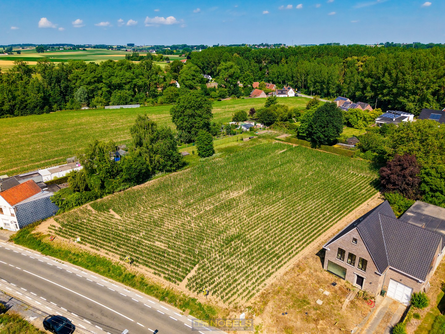 Te koop, residentieel gelegen projectgrond (3.602m² - straatbreedte van 50m) te Oudenaarde - photo 4