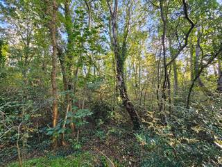 Land for sale in Bonheiden