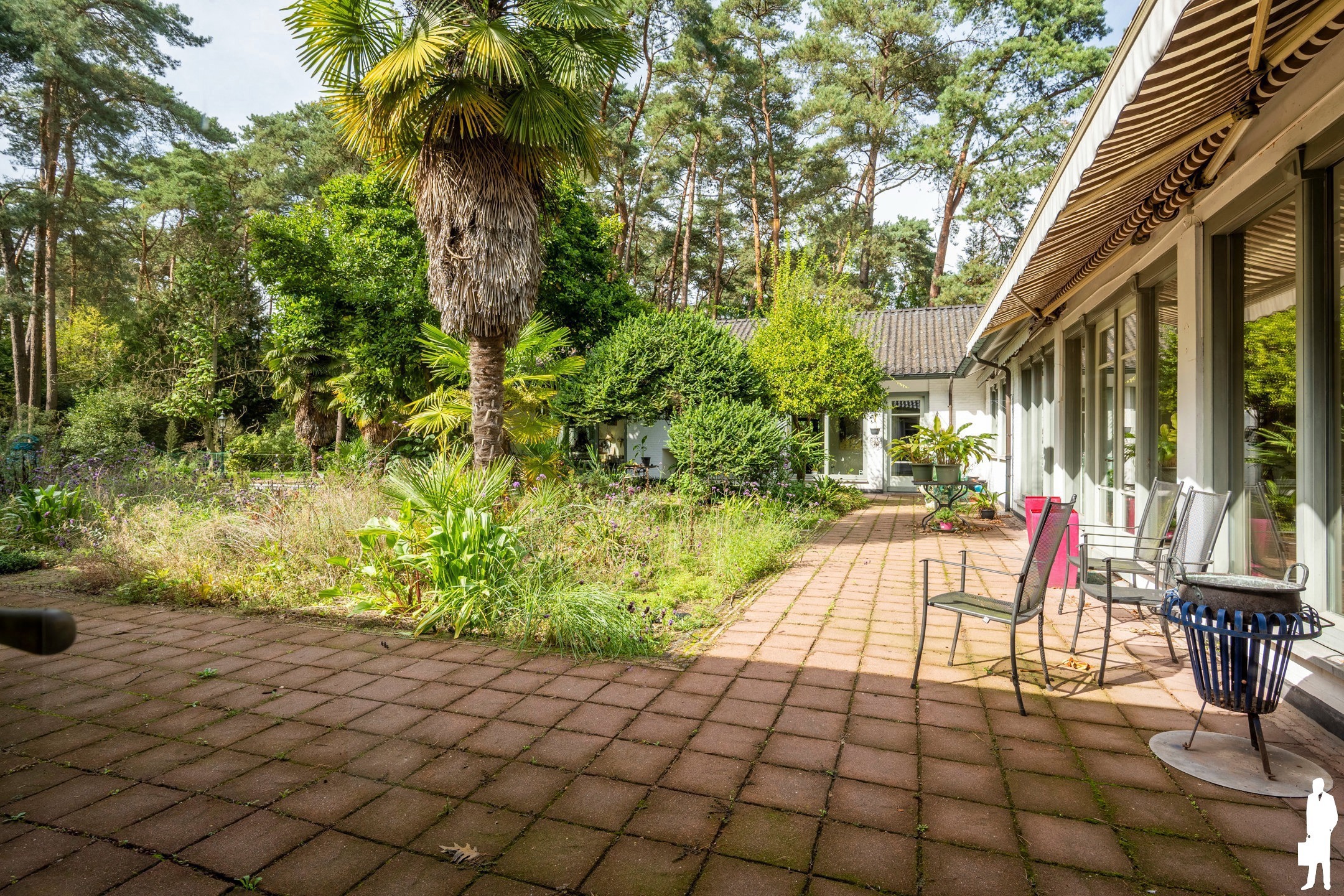 Uitzonderlijk perceel van 8.300 m² met af te breken woning - foto 4