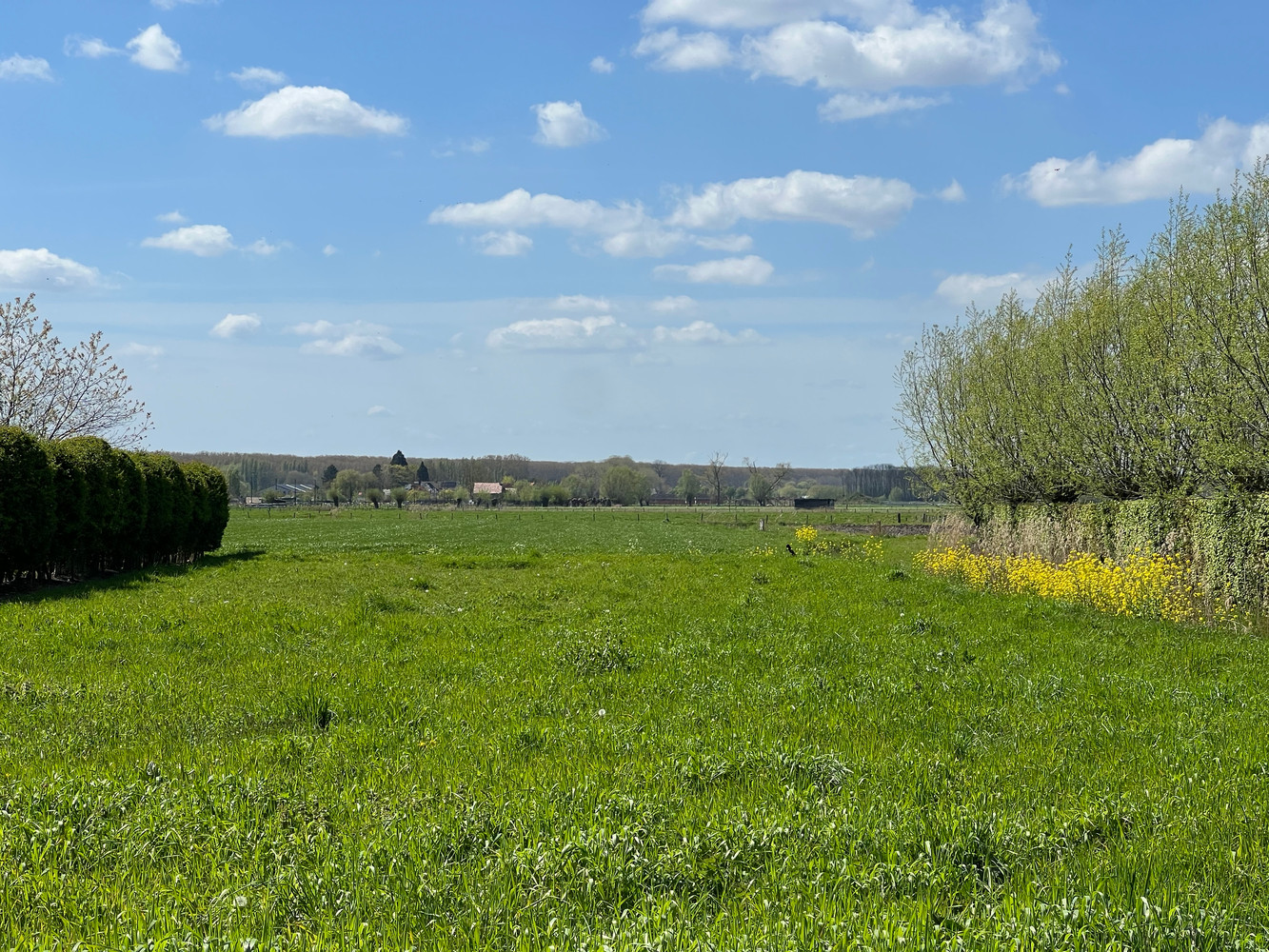 Prachtig perceel bouwgrond van 1.348 m² met open polderzichten - foto 5