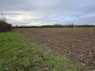 In Gullegem ligt een prachtig perceel bouwgrond van maar liefst 1560m² uit te kijken naar een nieuwe eigenaar. Deze grond voor open bebouwing biedt...