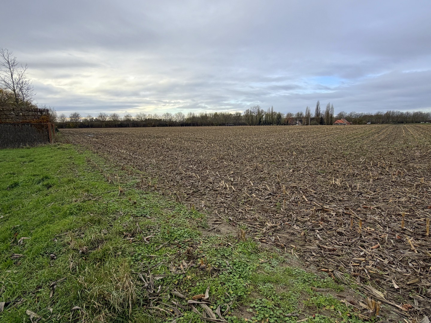 Bouwgrond voor ruime open bebouwing te koop op perceel van 1560.00 m² in Gullegem - foto 2