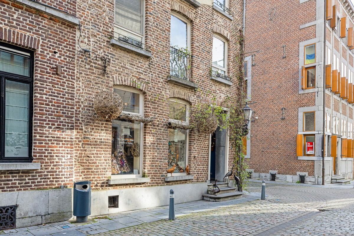 Commercial à vendre à Maaseik - photo 4