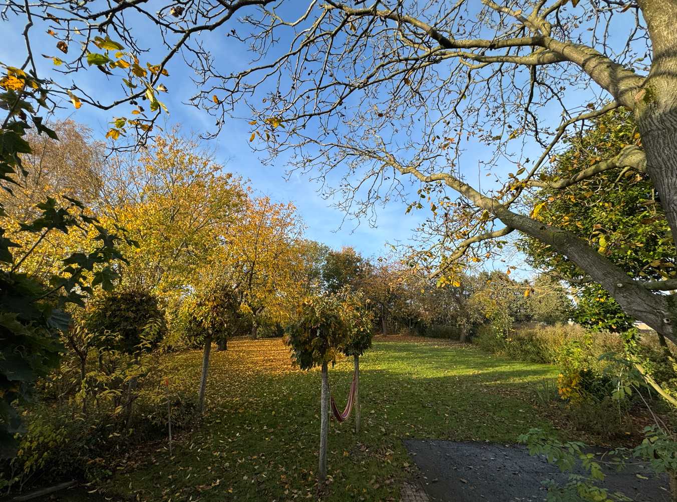 Huis te koop in Aalter met 3 slaapkamers - foto 4