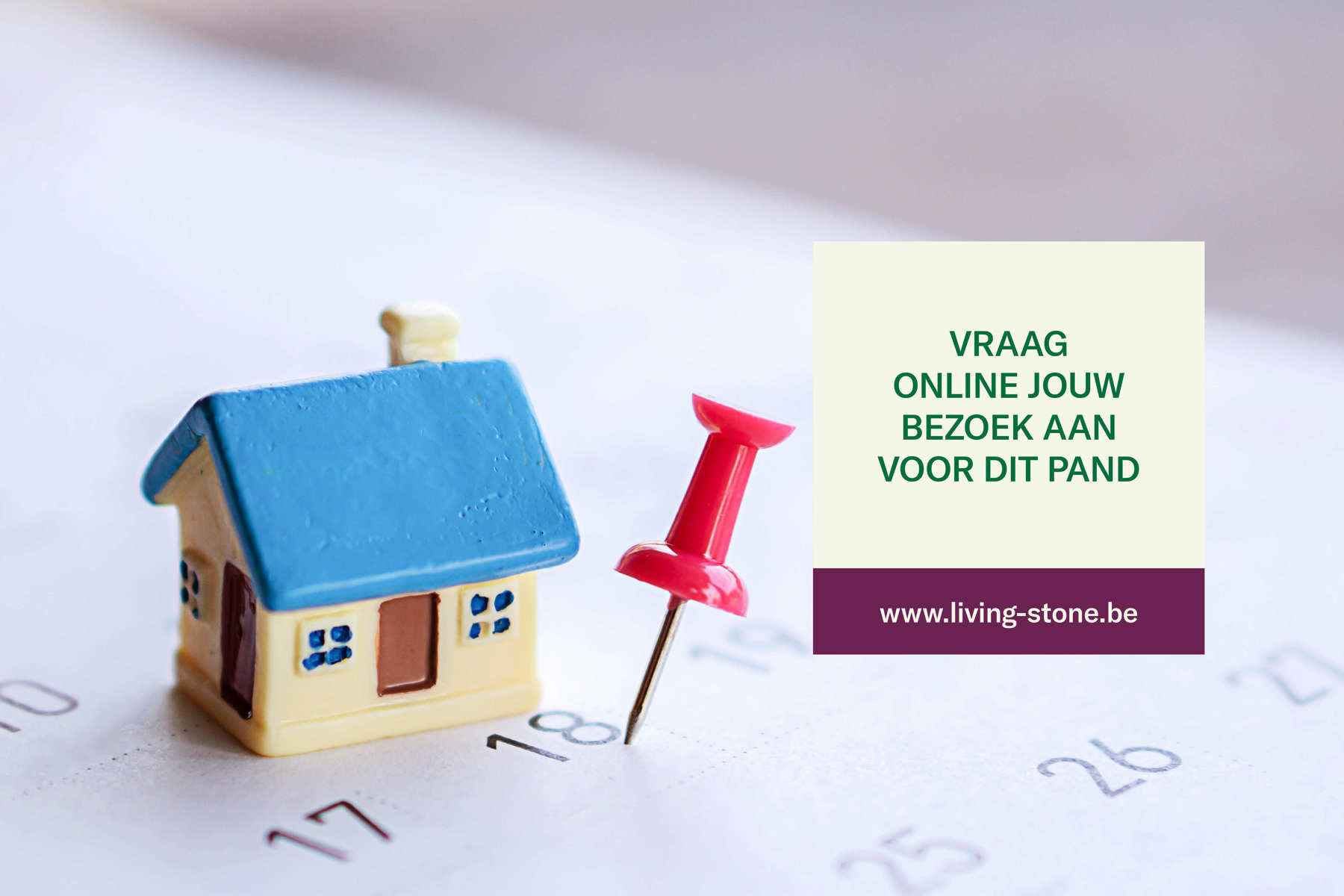 Gerenoveerde woning met 2 kamers te Dilbeek - foto 2