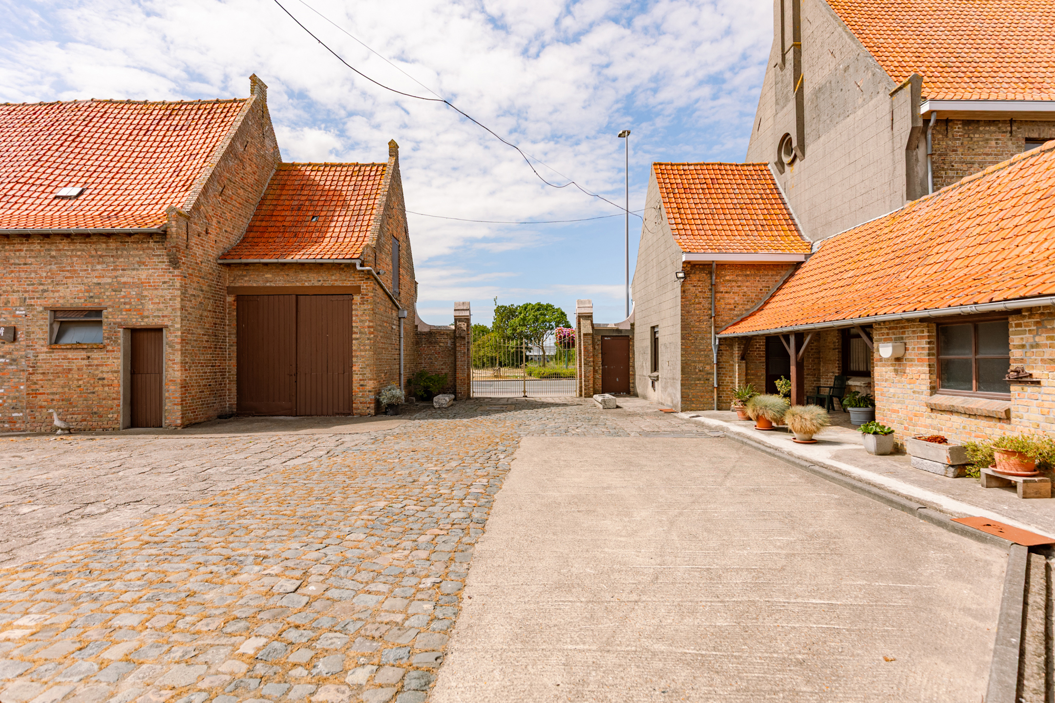 Vierkantshoeve met 4 schuren op 6.496 m² + optie weiland - foto 4