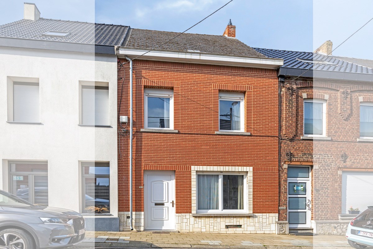 Goedgelegen woning met grote weide - foto 1