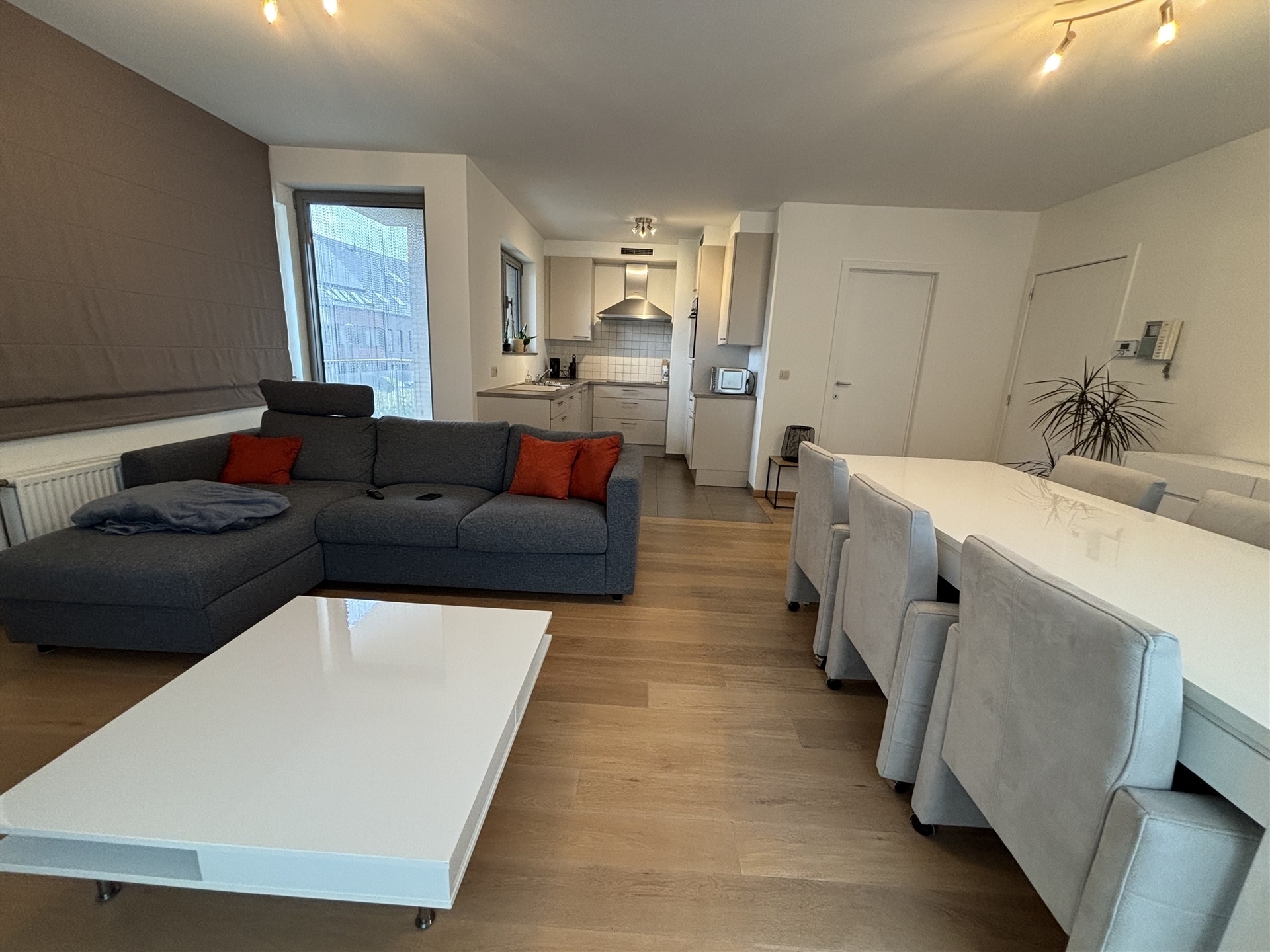 Appartement met 2 ruime kamers en terras - foto 3