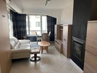 Deze studio 35 m2 bestaat uit inkomhal, woonkamer met open keuken, berging en badkamer met douche.<br />In de woonkamer staat een kast met uitklapbaar dubbel bed.<br />Studio op de eerste verdieping - geen lift in het gebouw.<br /><br />Maandelijkse huurprijs: 700 EUR + 50 EUR vaste kosten = 750 EUR per maand.<br />Onmiddellijk vrij.
