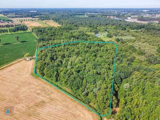 Terrain à vendre à Hoogstraten