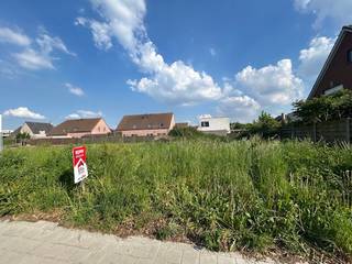 Wevelgem: bouwgrond met veel potentieel gelegen in de Wittemolenstraat te koopTroeven: * vrij van bouwverplichtingen, zie stedenbouwkundig (info in...