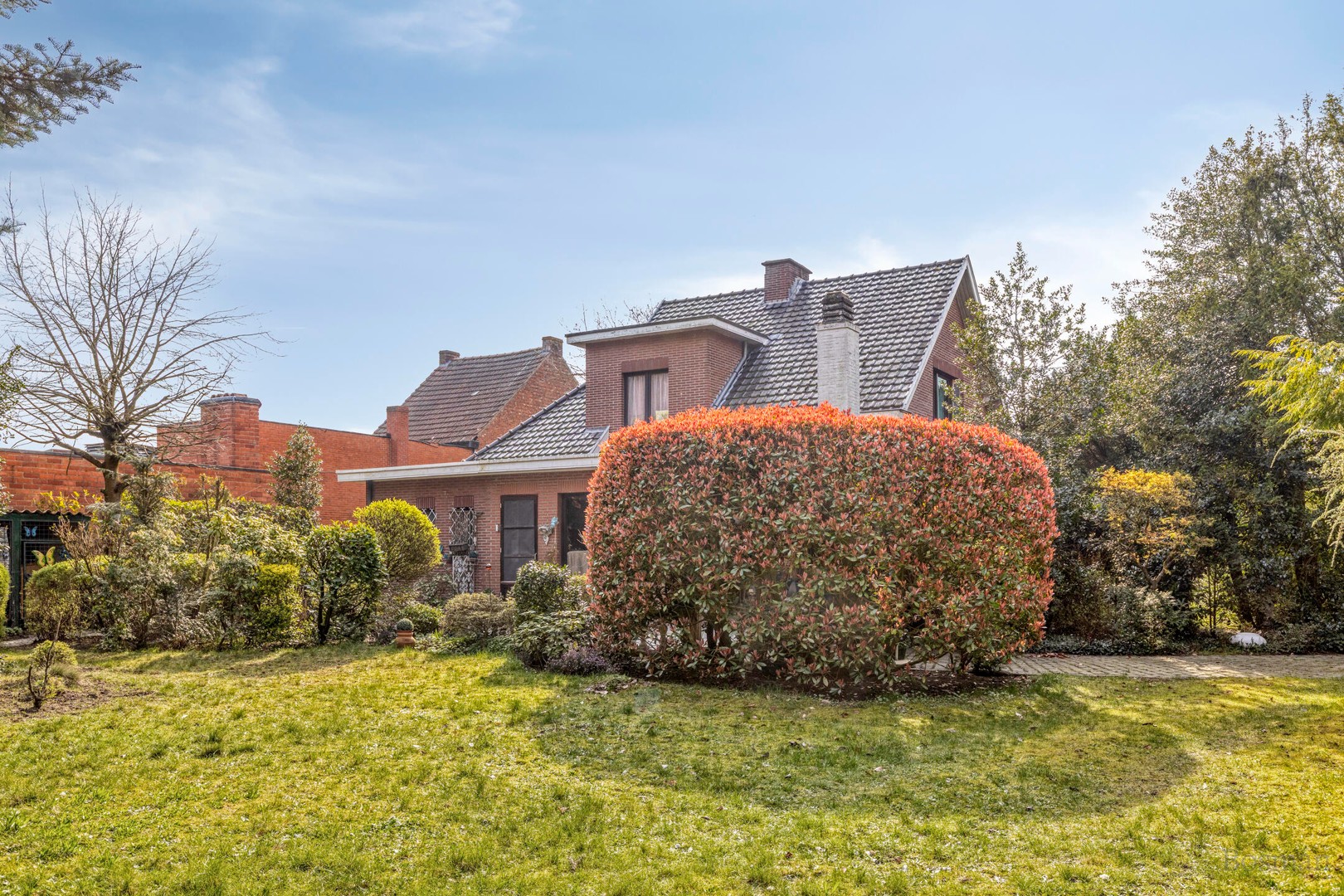 Projectgrond met woning te koop in Schoot, Tessenderlo - foto 5