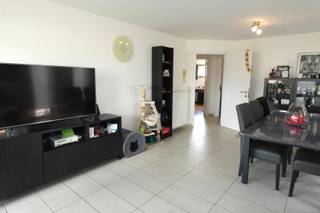 Dit ruim 2-slaapkamer appartement is rustig gelegen, doch in de onmiddellijke omgeving van winkels, bushalte (N9) en op fietsafstand van het stadscentrum van Aalst. Met een bewoonbare oppervlakte van 100m² biedt dit appartement een inkom-/nachthal, aparte toilet, badkamer (voorzien van dubbele lavabo en ligbad met douchefaciliteit), ruime woonkamer met toegang naar het terras, keuken (voorzien van dubbele spoelbak, oven, keramische kookplaat en dampkap. Koelkast zelf mee te brengen), berging/wasplaats (met spoelbak en aansluiting voor wasmachine en condensatiedroogkast) en twee ruime slaapkamers. Achteraan het gebouw bevindt zich de individuele garage (voldoende groot om ook fiets/moto te stallen). De maandelijkse lasten bedragen 15€ (deze omvatten het elektriciteitsverbruik in de gemeenschap, het onderhoud van de gang en de voortuin). Het appartement is beschikbaar vanaf 01/01/2027. Indien u graag een bezoek wenst, aarzel niet ons te contacteren op affligem@immoaccenta.be