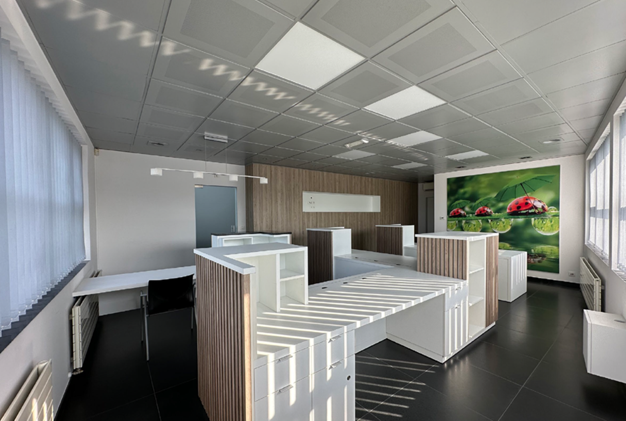 Commercial à louer à Kruisem - photo 4