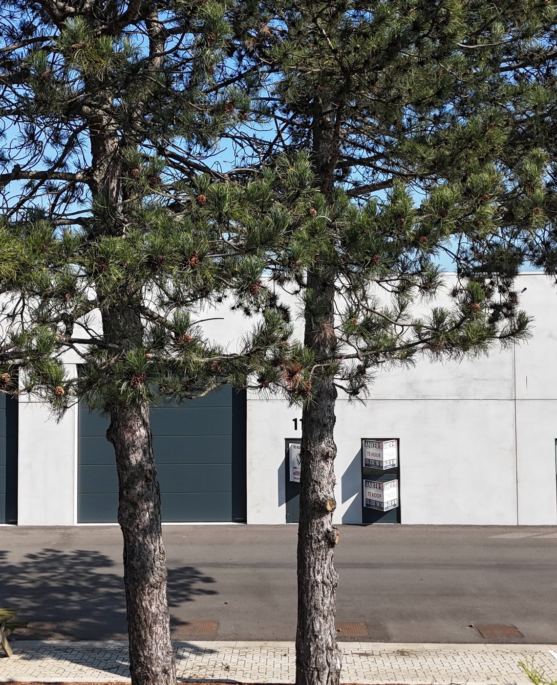 Nieuwbouw KMO unit vlakbij E17 - foto 3