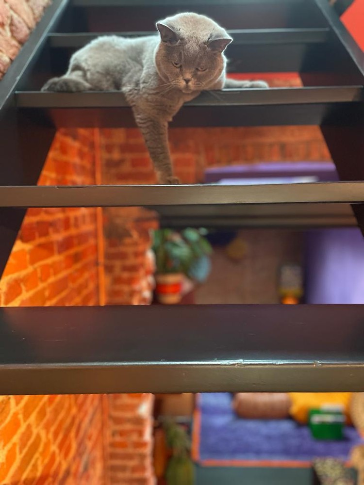 Karaktervolle erfgoedwoning op topligging tegenover de Sint-Gummaruskerk. - foto 5