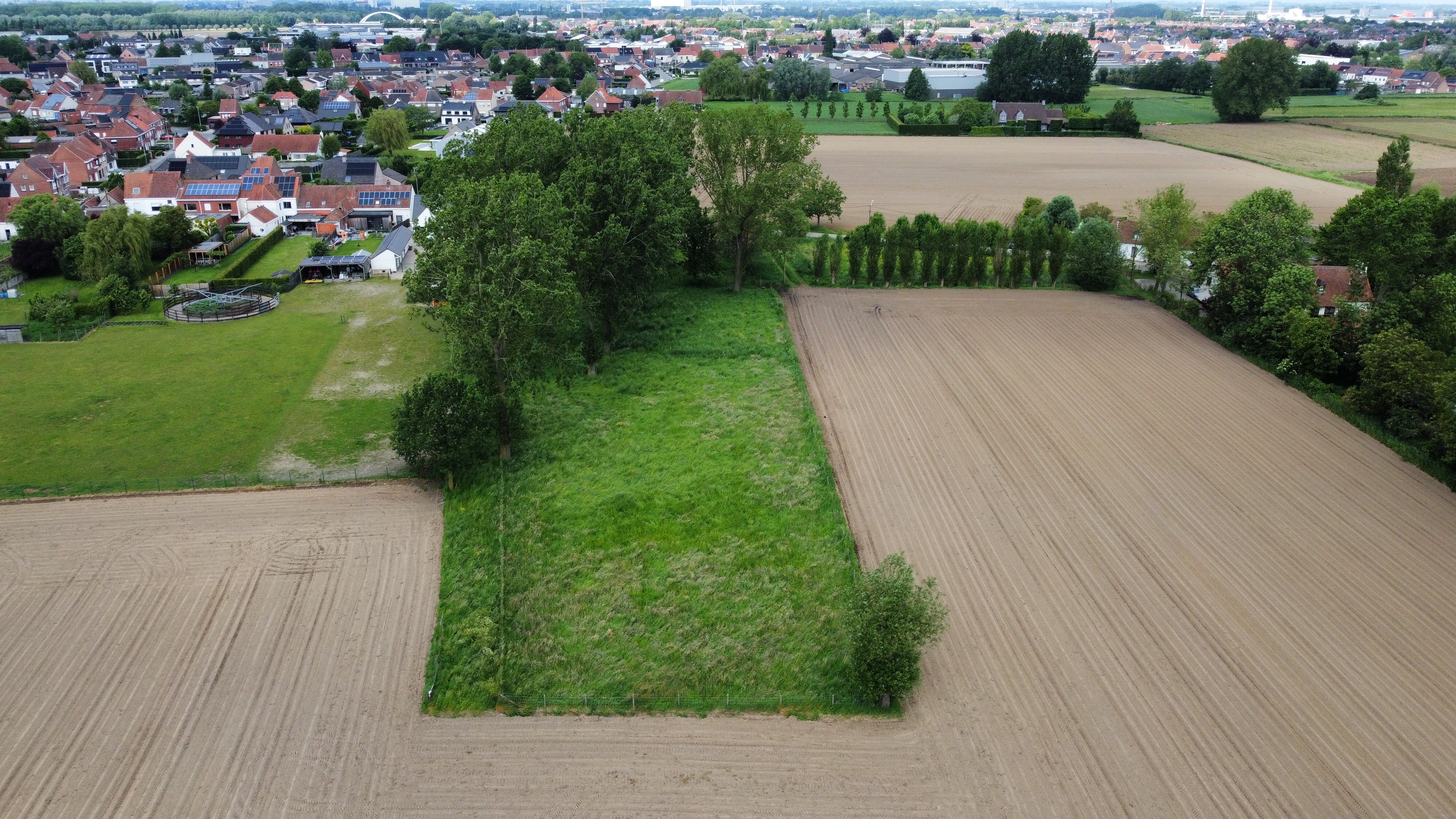 Bouwgrond (600 m²) 6% BTW in Beveren Leie - foto 5