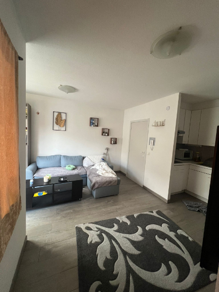 Prachtig ingericht/gemeubeld klein appartementje met 1 slpk - terras - kelderberging te koop via EXPERT-IMMO - foto 4