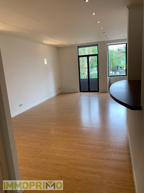 Ruim éénslaapkamer apprtement - foto 4