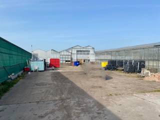 <span>Tuinbouwbedrijf op 2ha 95a volledig uitgerust voor een moderne aardbeienenteelt. Gelegen in Hoogstraten langs de Loenhoutseweg op slechts 650m van Coöperatie Hoogstraten en vlakbij E19 Antwerpen-Breda. <br /><br />Het bedrijf bestaat uit 2 kassen in glas (8.000m²), foliekappen (12.000m²), corridor (500m²) met inpakruimte, personeelsvoorzieningen, technische ruimte, foliebassin, etc.<strong><br /></strong></span><br /><span>Beschikbaar in overleg.</span>