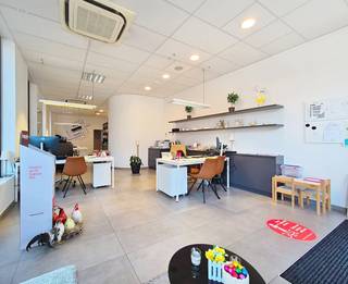 Dit lichtrijke kantoor te huur op de Markt in Eeklo biedt de ideale locatie voor jouw bedrijf. Gelegen in het centrum, omringd door een mix van...