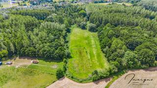 Gronden te bereiken via benedenstraat te Kortrijk-Dutsel. +- 2 Hectare .Mogelijkheid tot aankoop alle gronden tesamen;Landbouwgronden Plein Holsbeek...