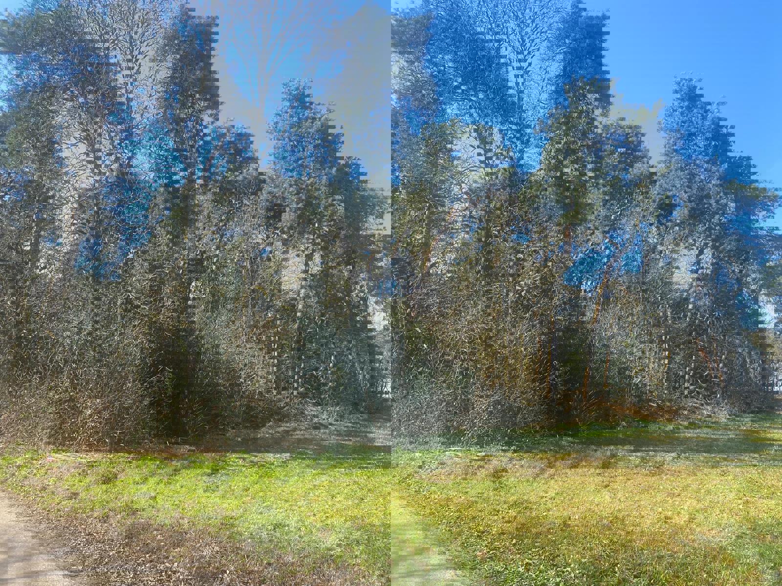 Land for sale in Balen - photo 4