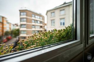 Voor meer info of om een bezoek in te plannen, contacteer Pieter via 016199345 of via pieter.maes@homixx.be.Bent u op zoek naar een gezellig,...