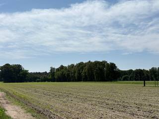 Tussen de landelijke omgeving van Mol en Geel bevindt zich dit mooie perceel weiland met een totale oppervlakte van 3.320 m².Het perceel is...