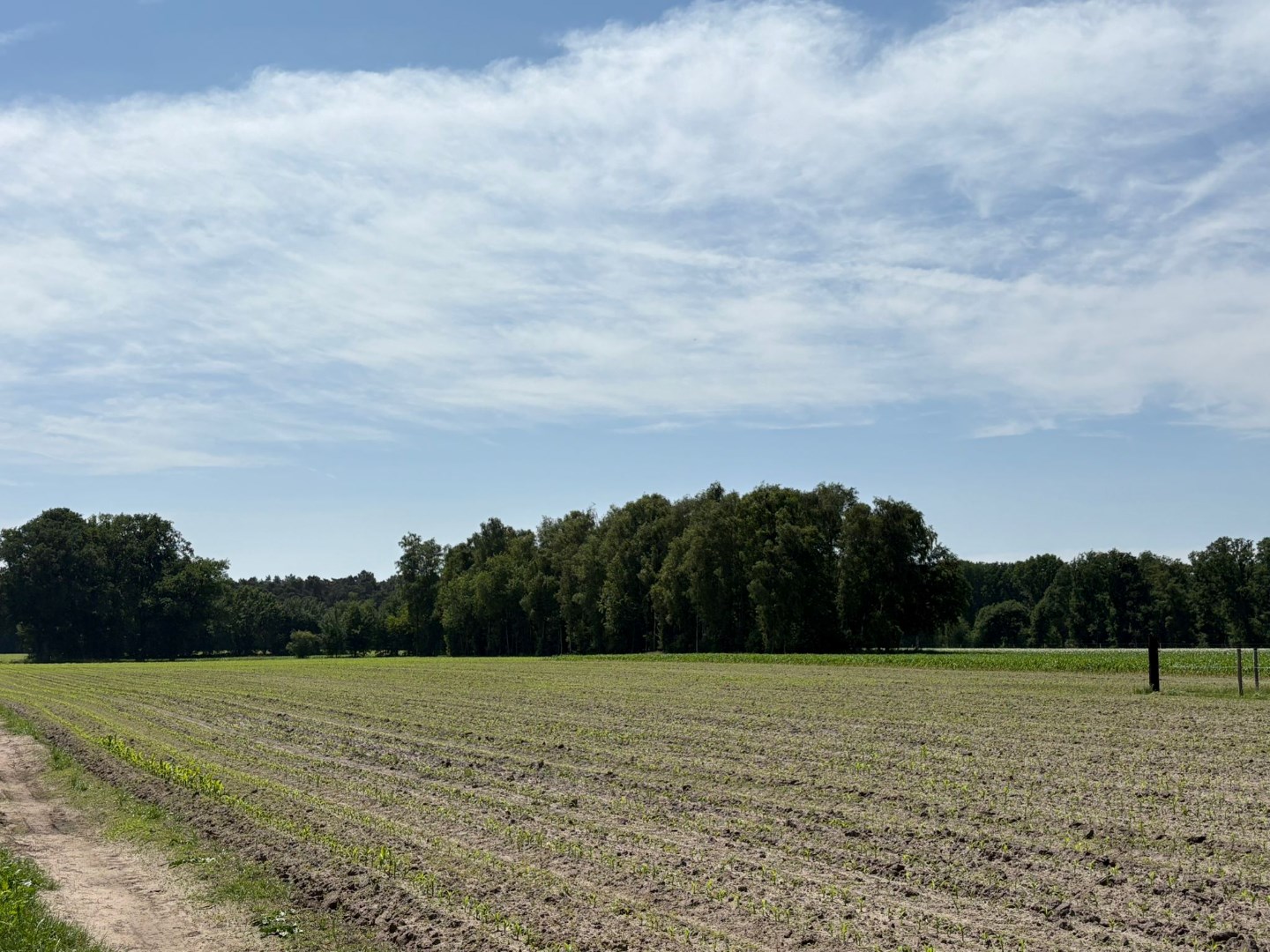 Mooi perceel weiland van 3.320 m², gelegen in Bel ! - foto 2