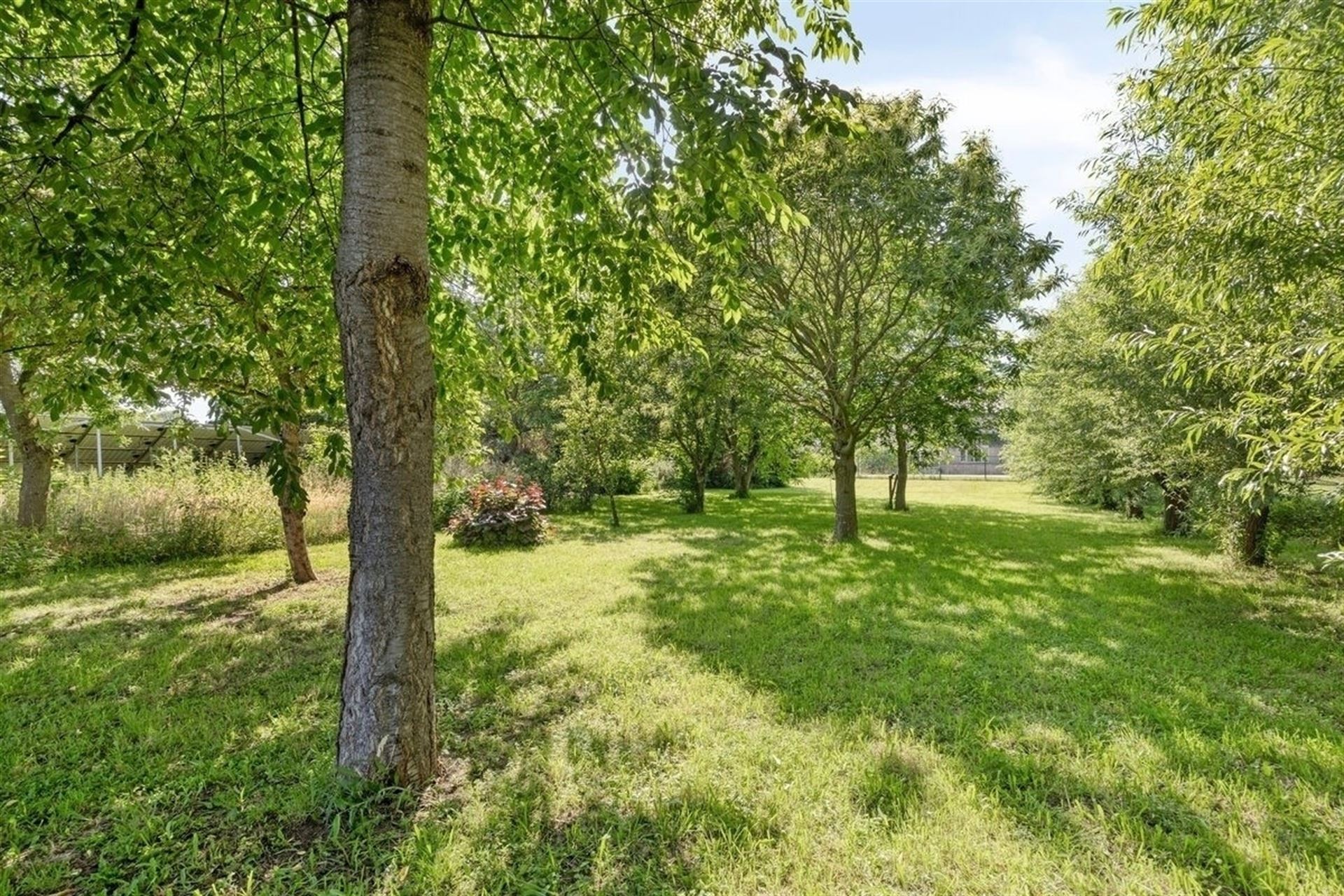 Instapklare villa met zwembad. Landelijke ligging in Leut. - foto 4