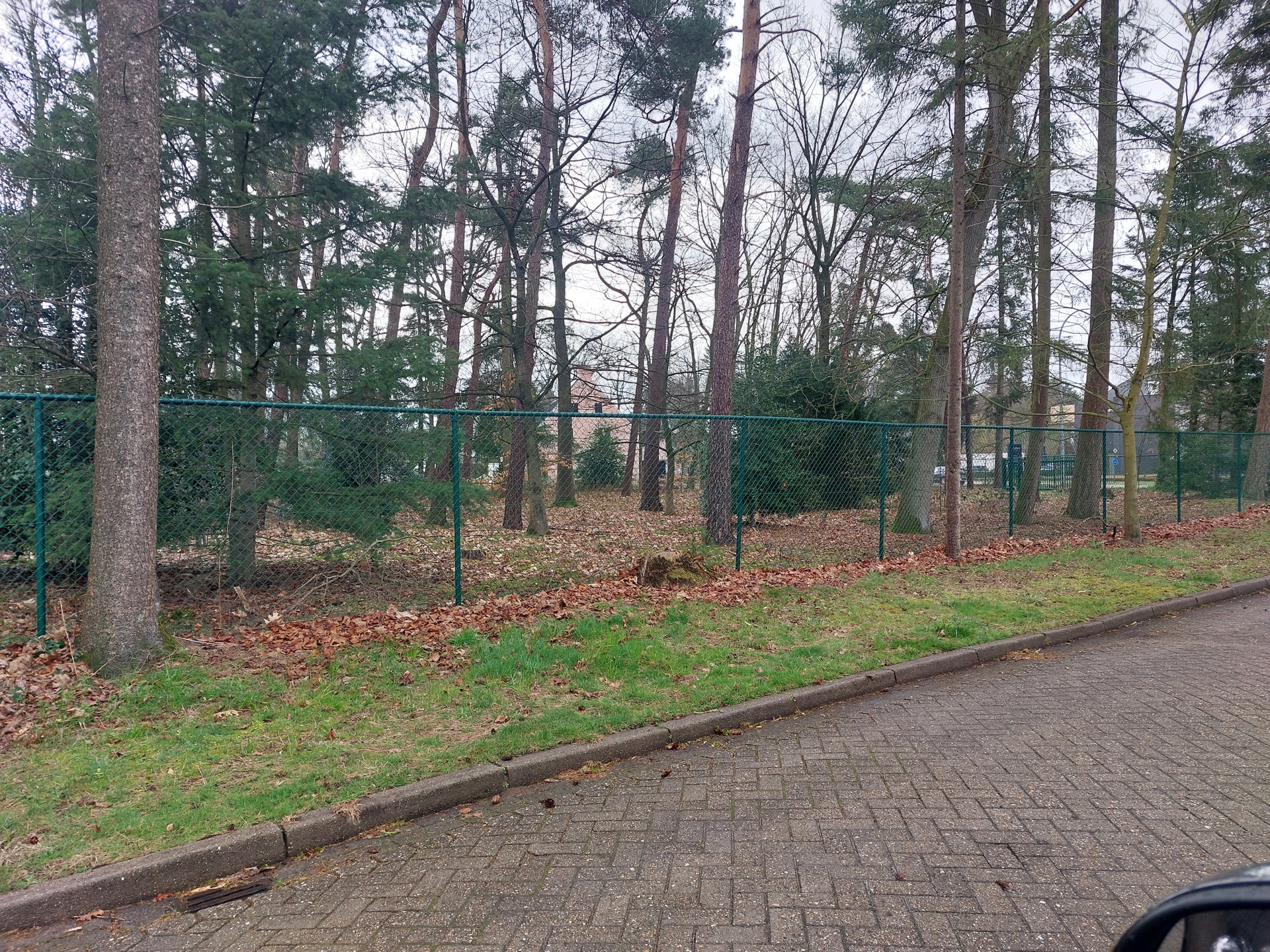 Grond te koop in Beerse - foto 1