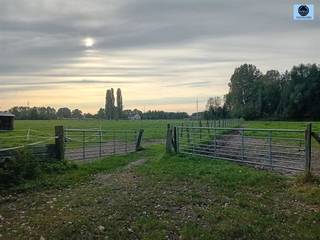 TERRAIN POUR CONSTRUCTION JUMELÉEPrix demandé : 59 000 eurosTerrain très calme situé dans un environnement verdoyant, à proximité de champs, d'une...