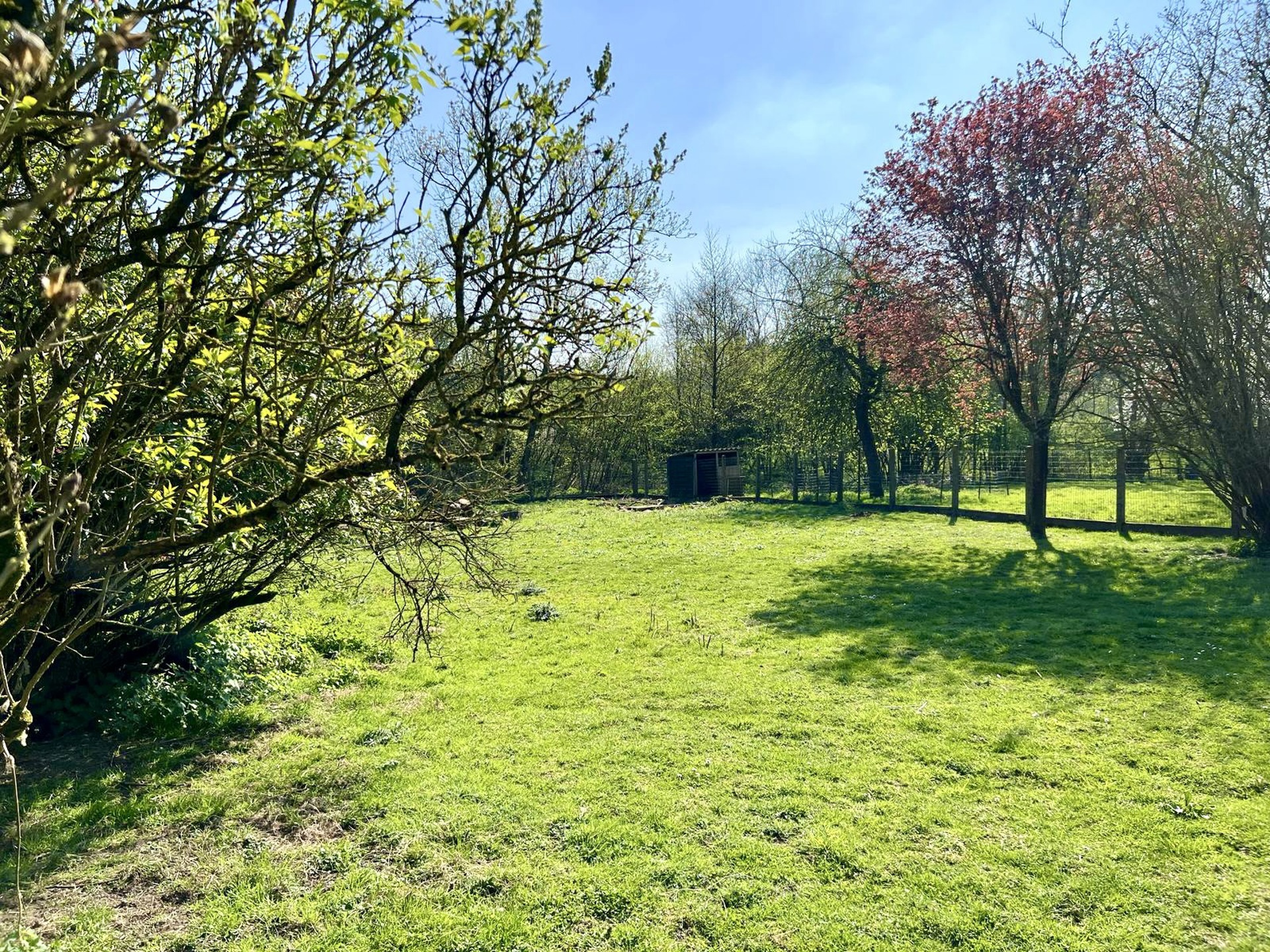 DEGELIJKE VILLA (onderkelderd) met extra bijgebouw/bouwgrond - foto 3