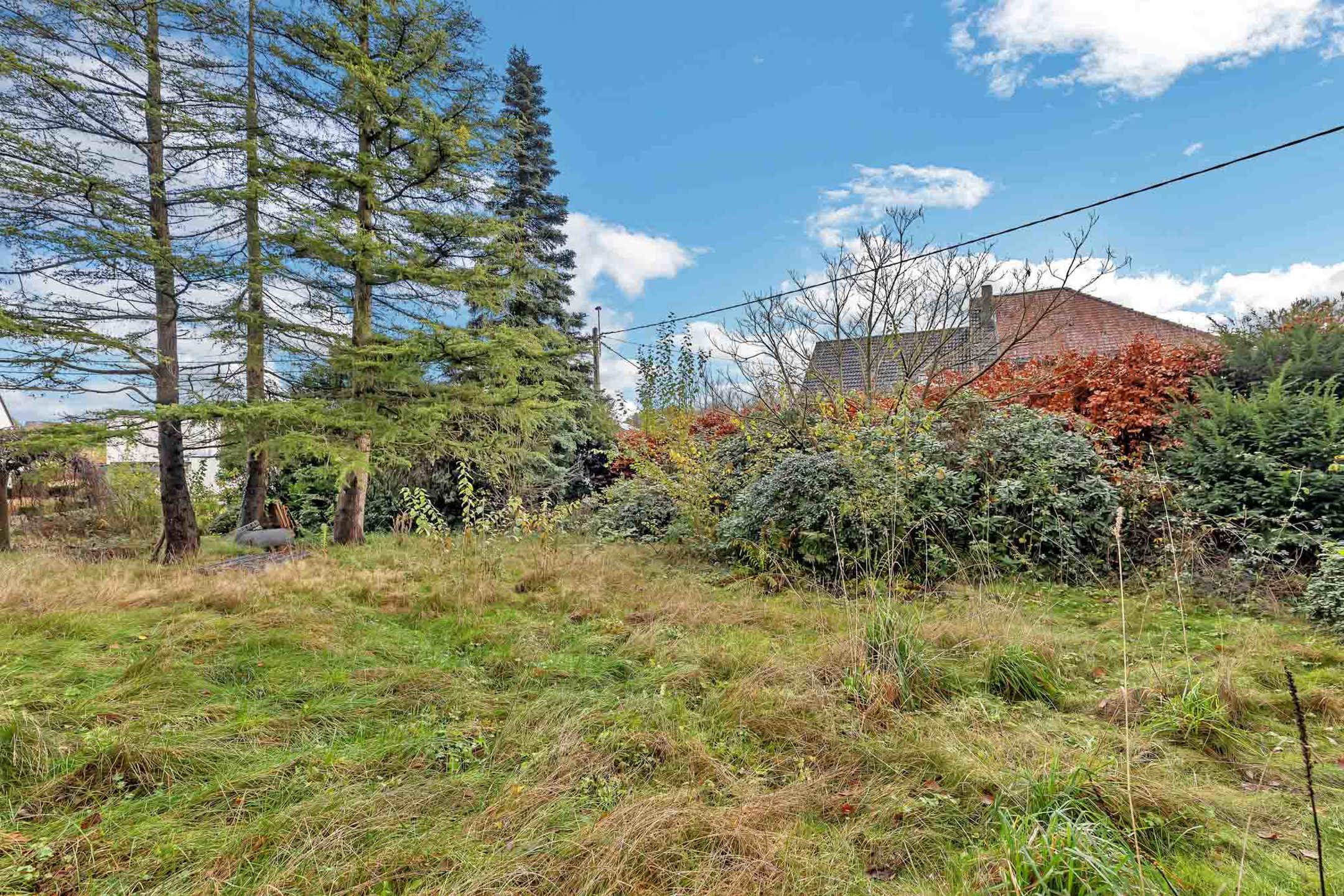 Land for sale in Roosdaal - photo 5