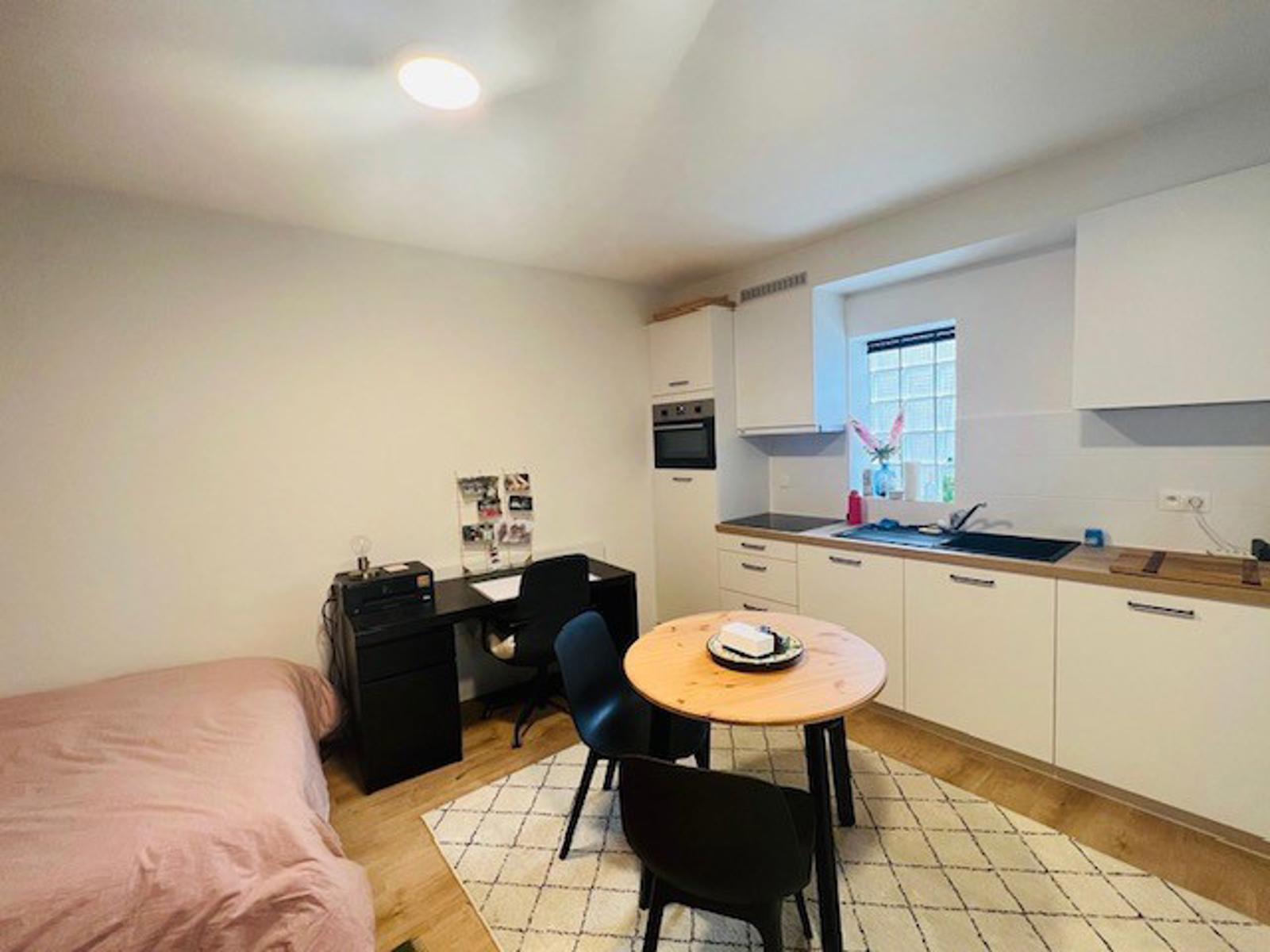 Appartement à louer à Louvain avec 1 chambre - photo 3