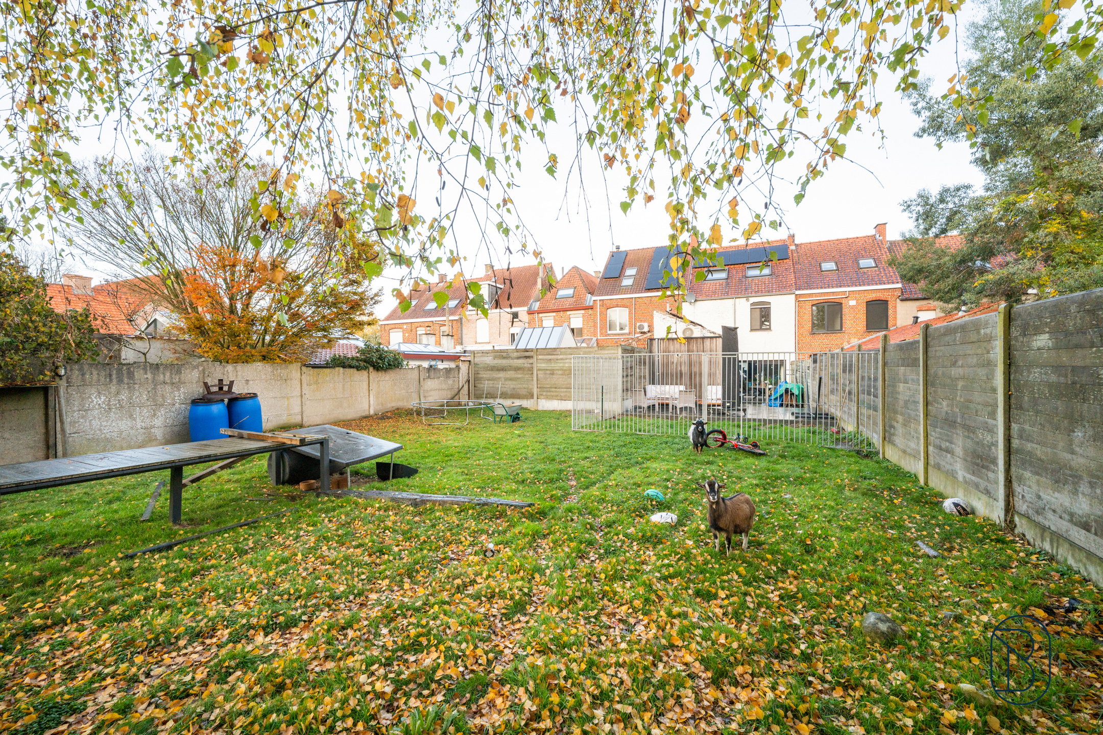 House for sale in Izegem with 4 bedrooms - photo 2