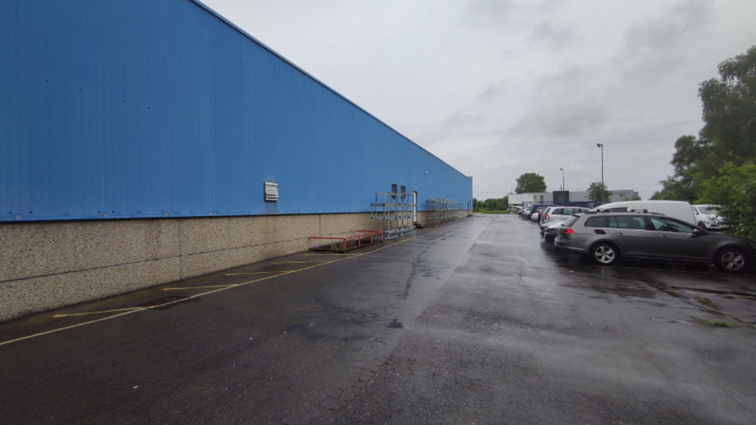 Commercial for rent in Putte - photo 4