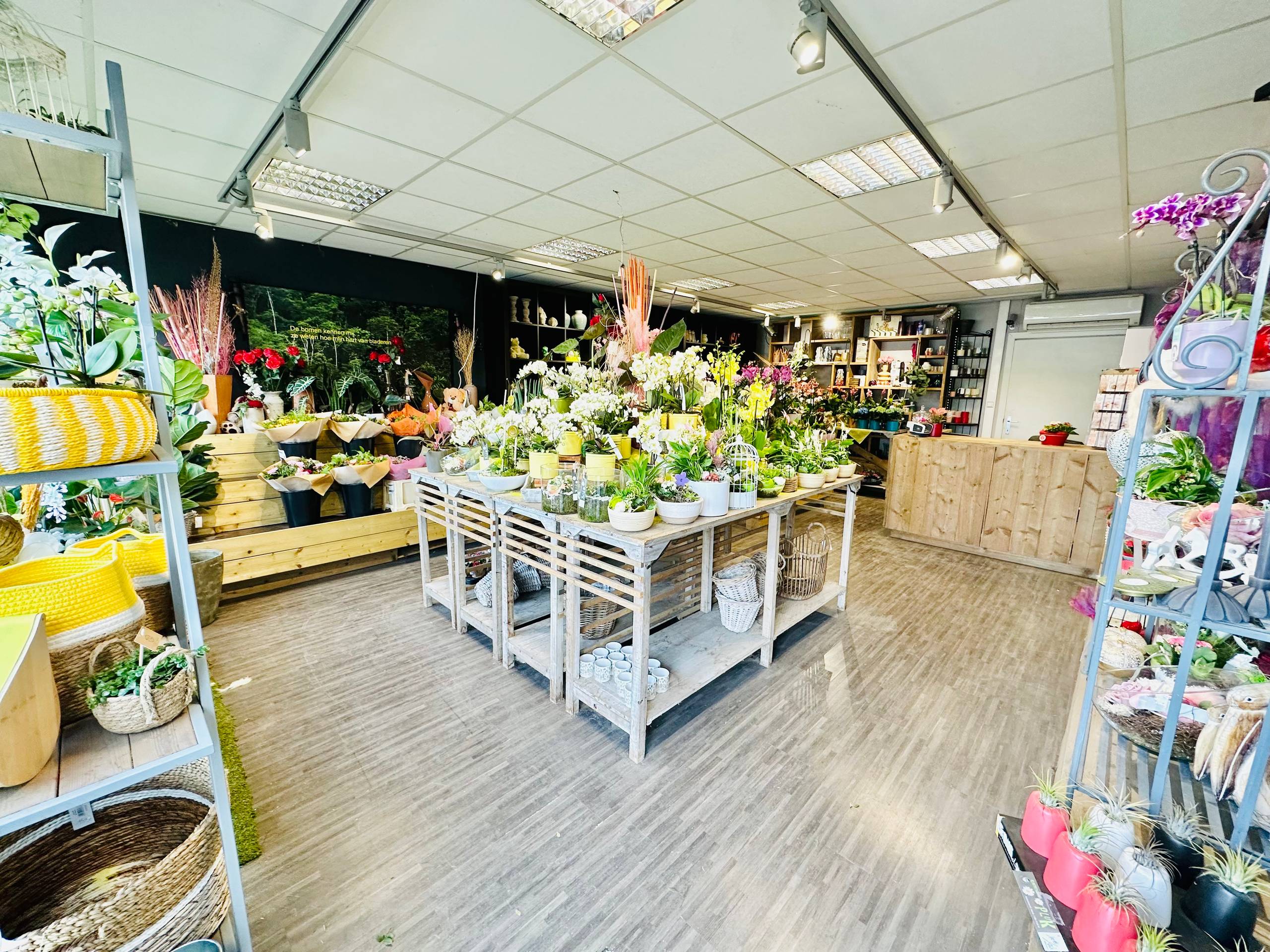 Te Koop Handelszaak op Toplocatie in Wervik - foto 2