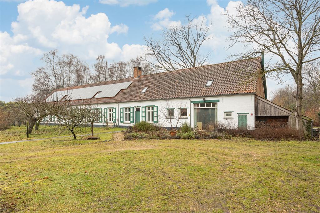 Langgevelhoeve op ca. 5 ha. vlak bij het dorp van Schilde, inclusief enkele bouwgronden. - foto 2