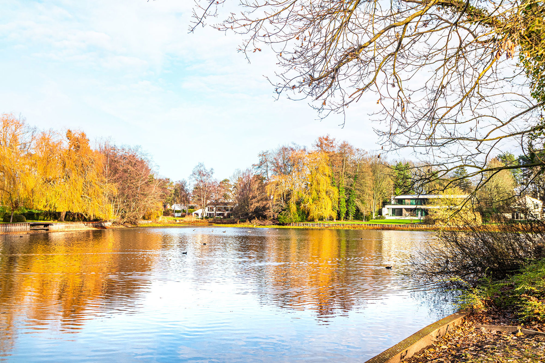 Exclusieve bouwgrond van 4.370 m² in “Golf &amp; Meer”-domein - foto 4