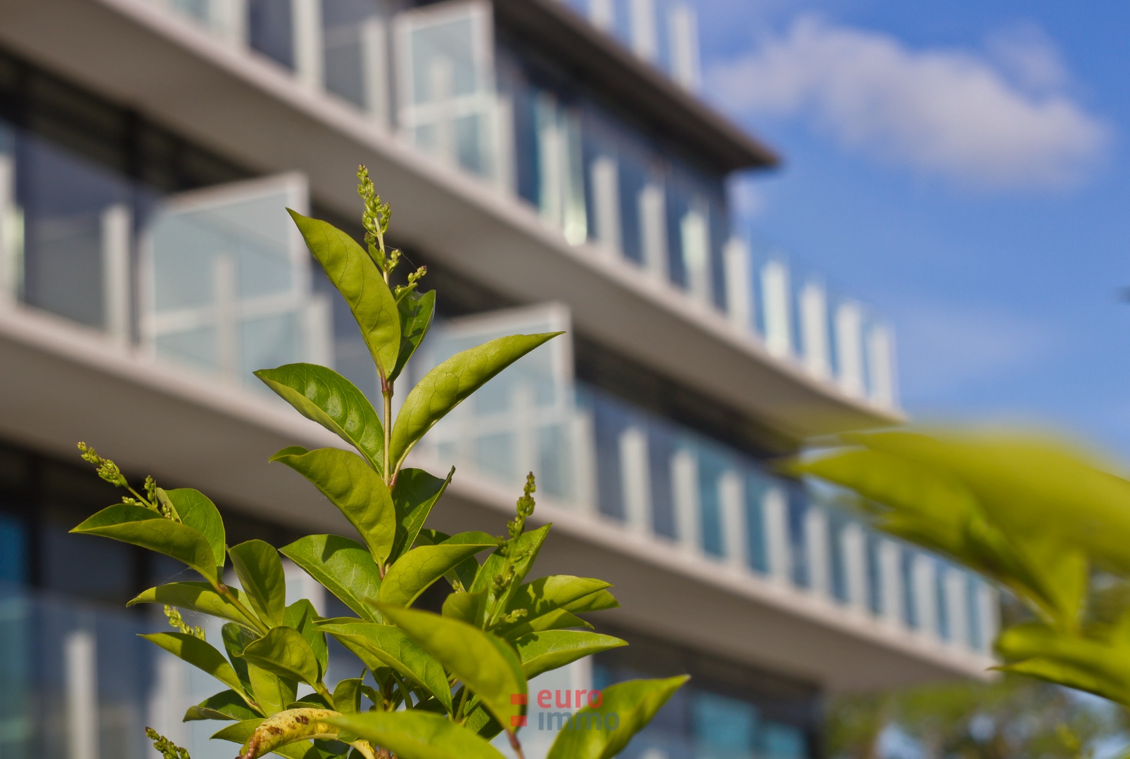 Ruime garagebox langs de waterlijn van Nieuwpoort-Stad! - foto 5