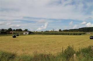 Terrain à vendre à Gedinne