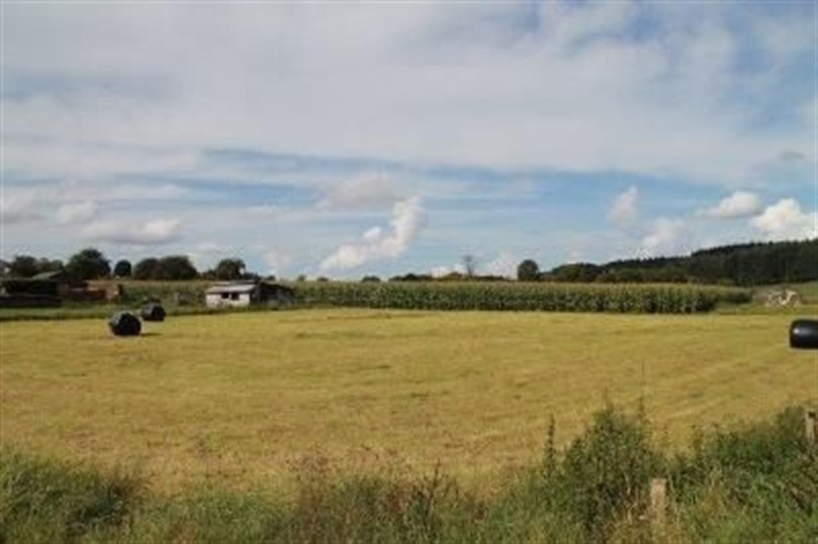 Terrain à vendre à Gedinne - photo 3